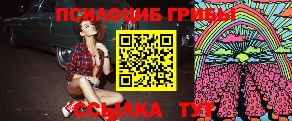 Галлюциногенные грибы прущие грибы  Псилоцибиновые грибы GOLDEN TEACHER  Куйбышев  закладки  Вход с VPN 
