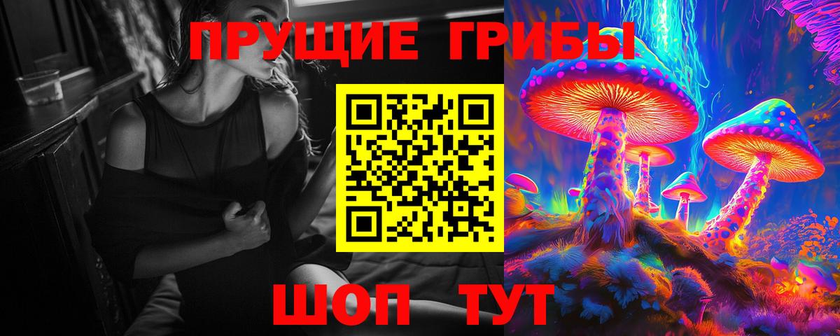 Псилоцибиновые грибы прущие грибы Куйбышев